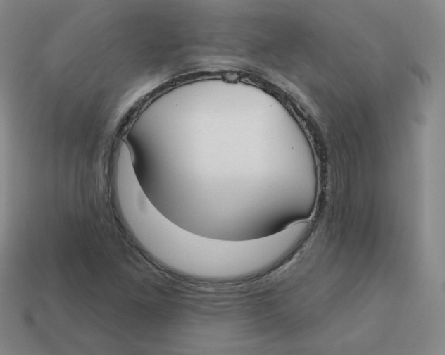 X0000113161261200910021454