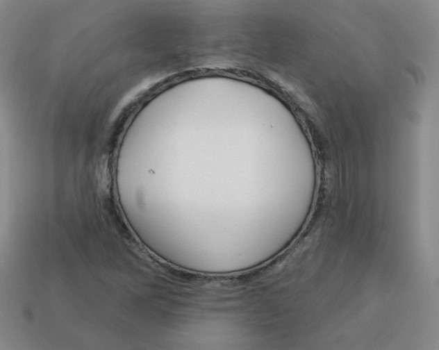 X0000113161262200910021454