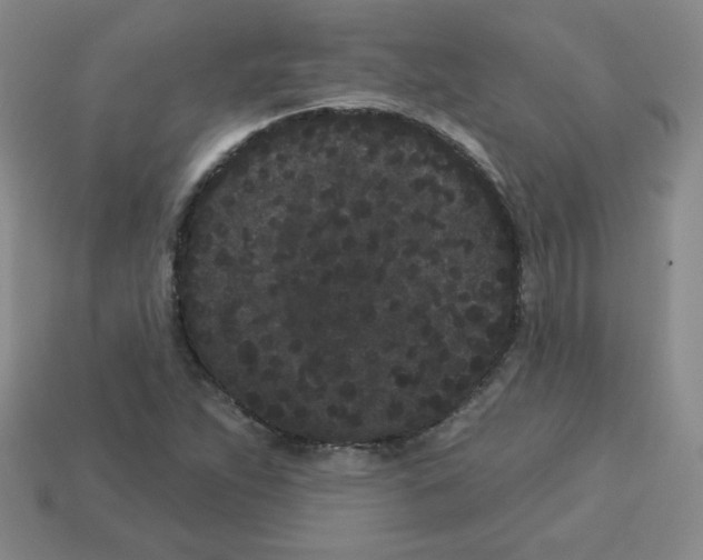 X0000113161263200910021454