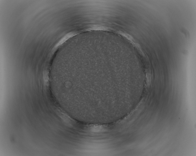 X0000113161266200910021454