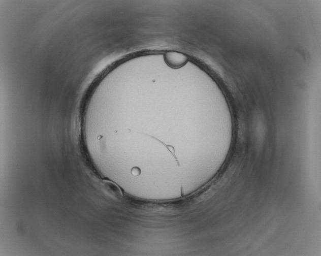 X0000113161270200910021453