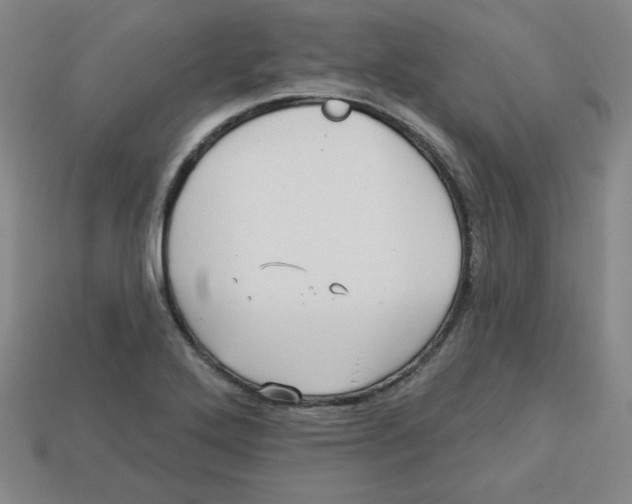 X0000113161272200910021453