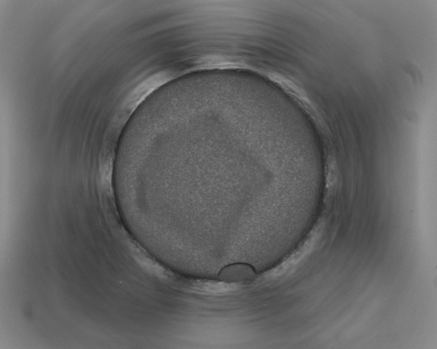 X0000113161273200910021453