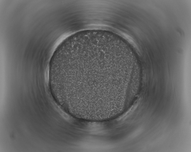 X0000113161275200910021453