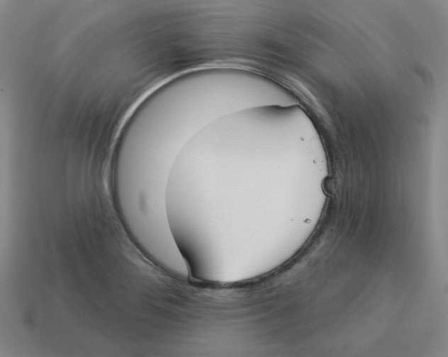 X0000113161276200910021453