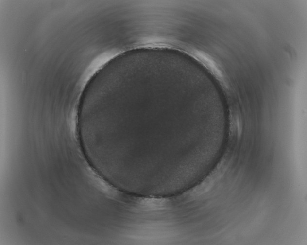 X0000113161277200910021453