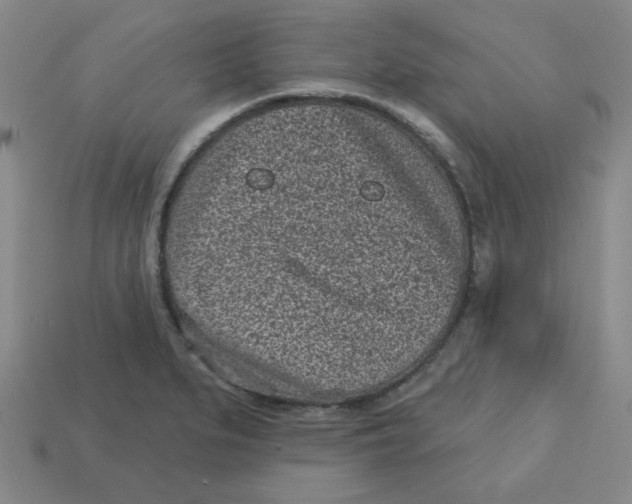 X0000113161279200910021453