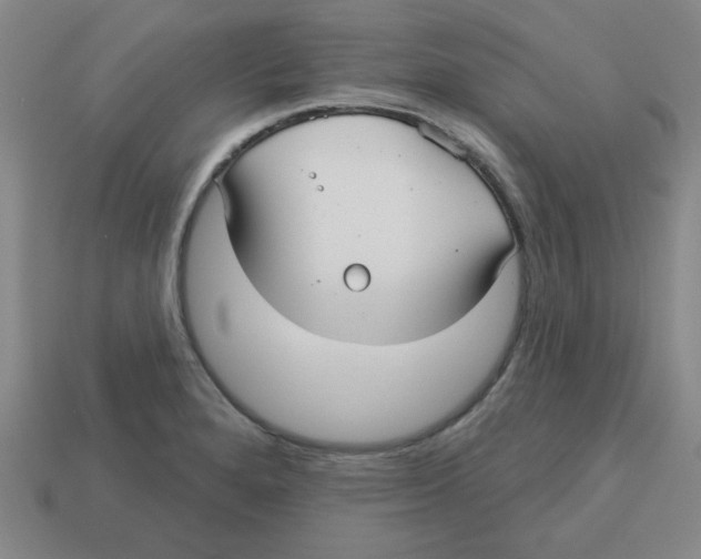 X0000113161280200910021453