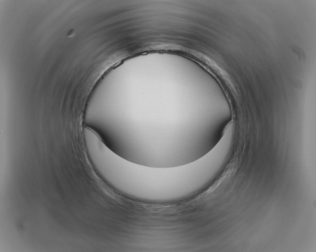 X0000113161281200910021453