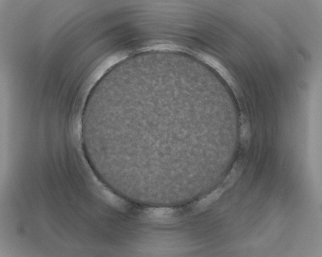 X0000113161282200910021453