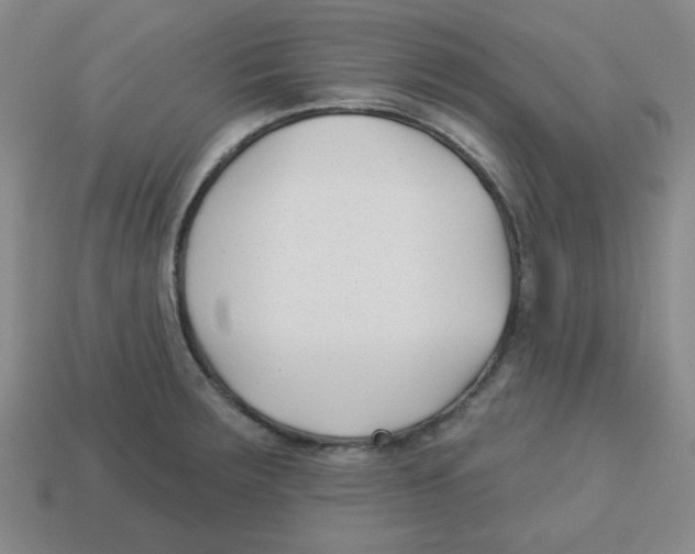 X0000113161283200910021453