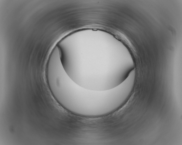 X0000113161284200910021453