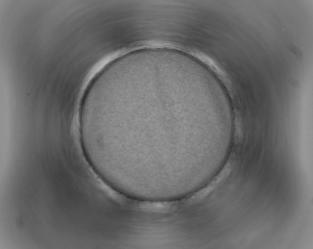 X0000113161286200910021453