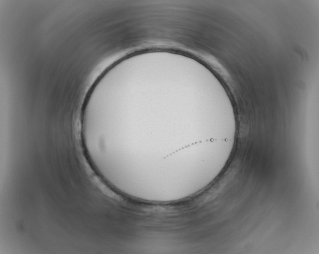 X0000113161287200910021453