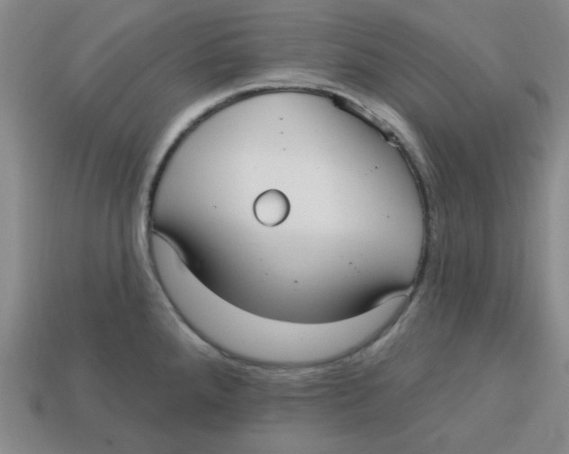 X0000113161288200910021453