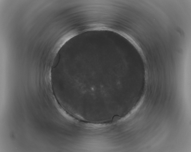 X0000113161289200910021453