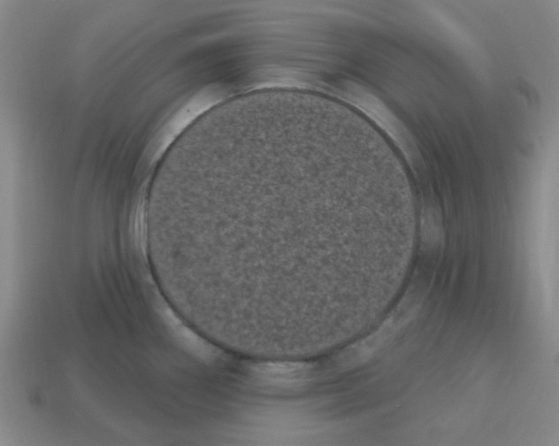 X0000113161290200910021453