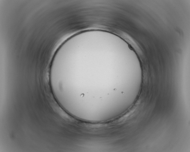 X0000113161292200910021453