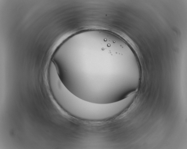 X0000113161293200910021453