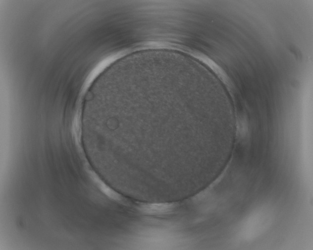 X0000113161294200910021453