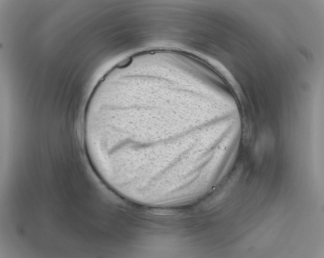 X0000113161295200910021453