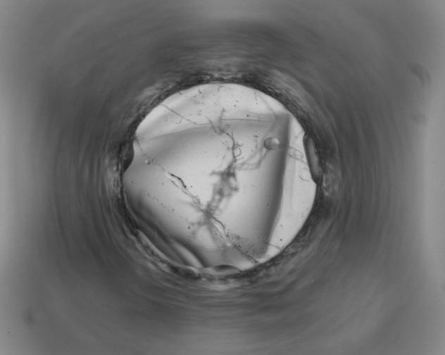 X0000113161298200910021452