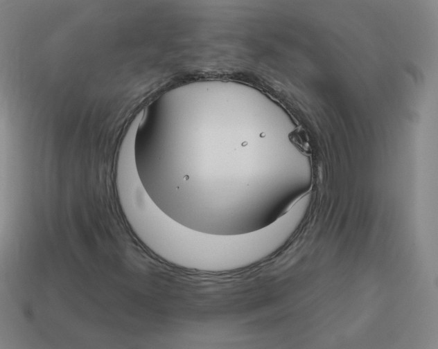 X0000113161300200910021452