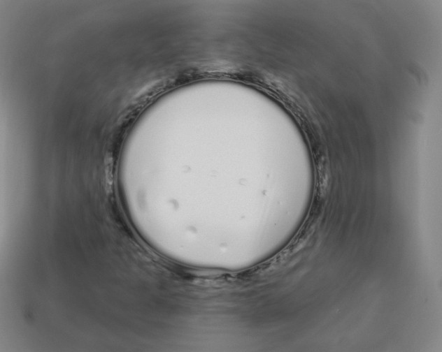 X0000113161301200910021452