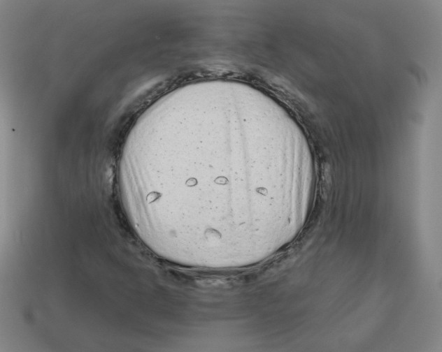 X0000113161302200910021452