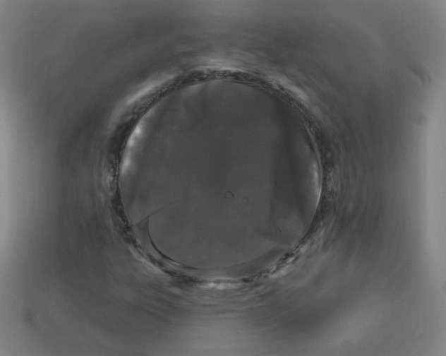 X0000113161303200910021452