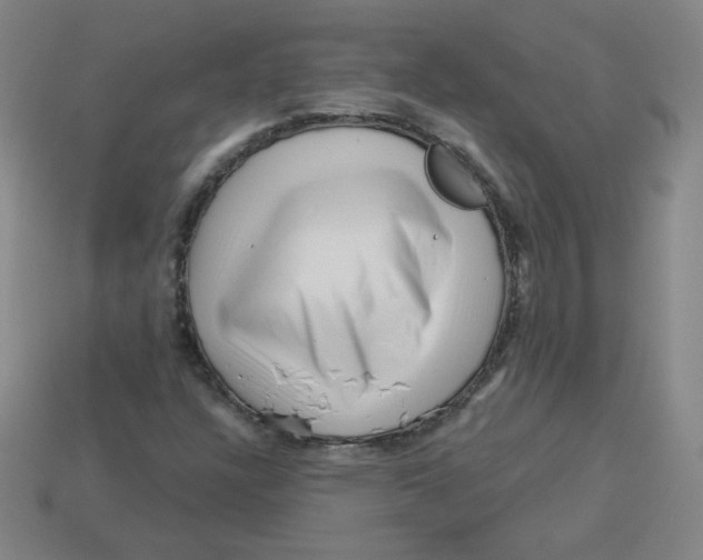 X0000113161304200910021452