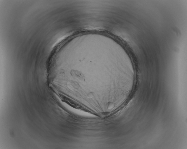 X0000113161306200910021452