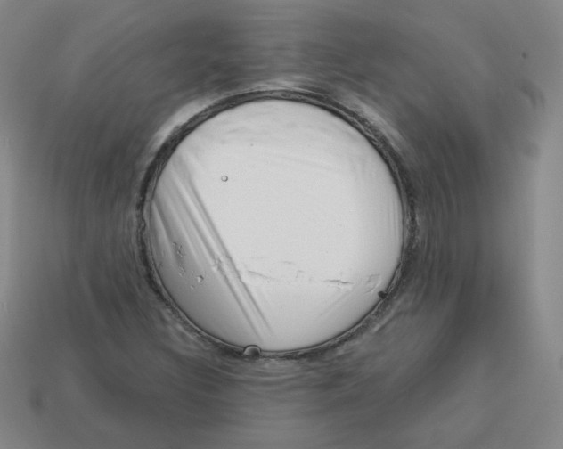 X0000113161308200910021452