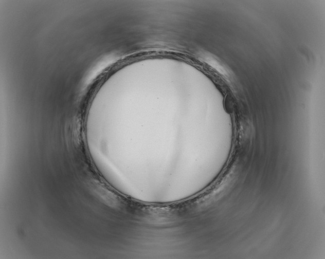 X0000113161310200910021452