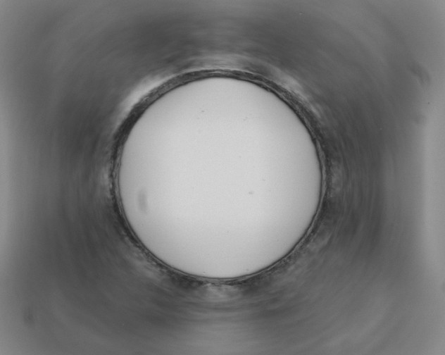 X0000113161312200910021452