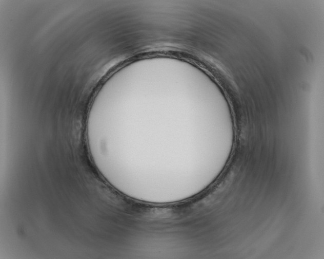 X0000113161313200910021452