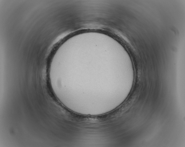 X0000113161315200910021452