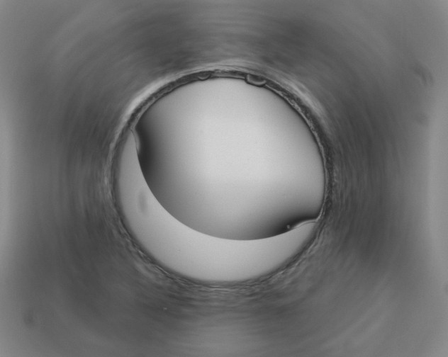 X0000113161316200910021452