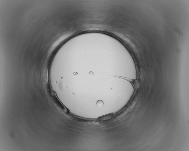 X0000113161317200910021452