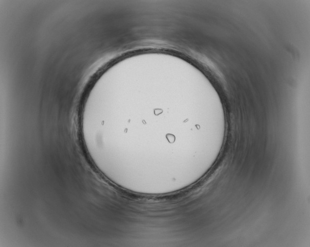 X0000113161318200910021452