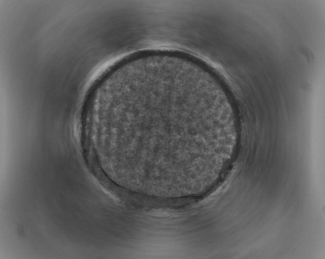 X0000113161319200910021453