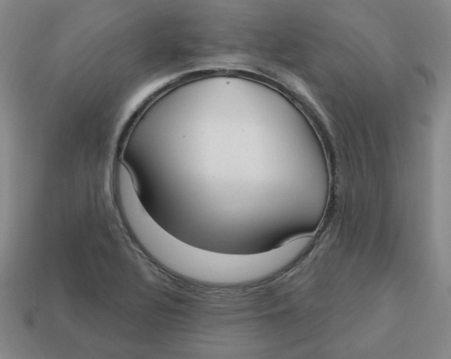 X0000113161320200910021453