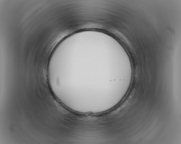 X0000113161321200910021453