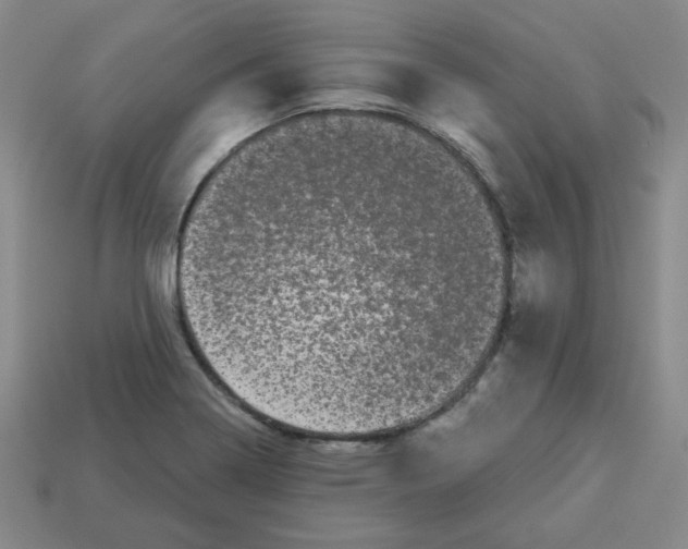 X0000113161322200910021453