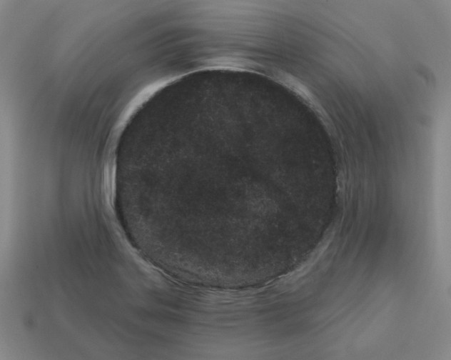 X0000113161323200910021453