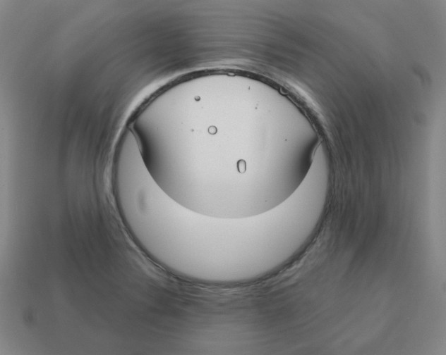 X0000113161324200910021453