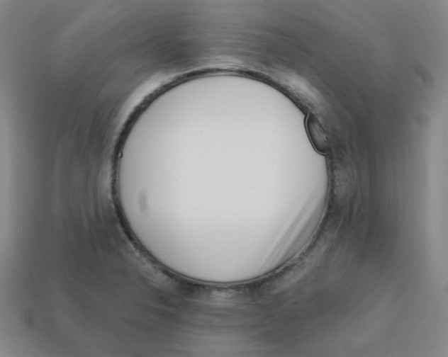 X0000113161326200910021453