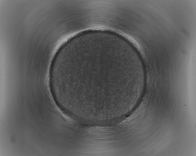 X0000113161327200910021453