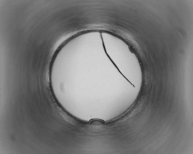 X0000113161328200910021453