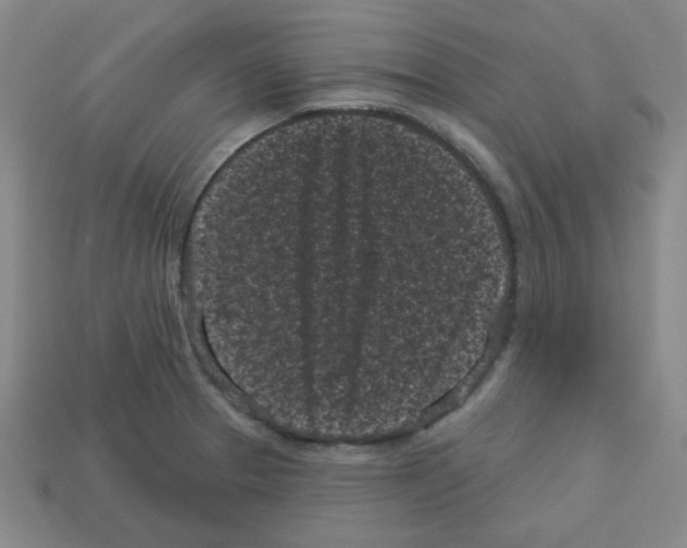 X0000113161329200910021453